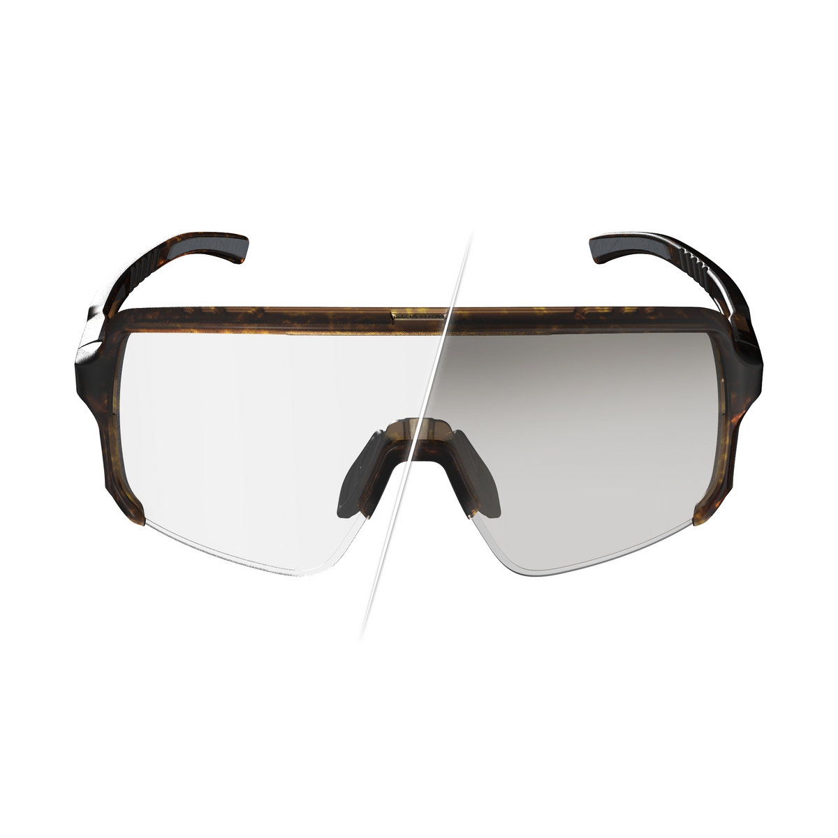DirdyBird Peak Tortoise | Photochromic